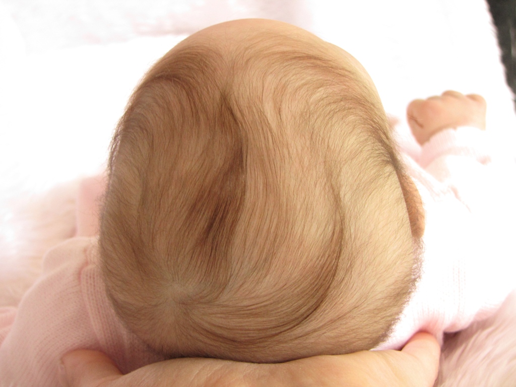 Rooting, Einpflanzen der Haare  width=